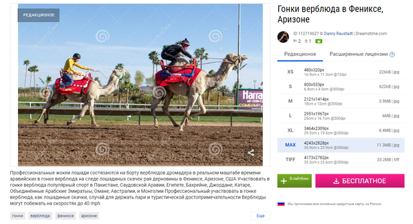 https://upforme.ru/uploads/0012/d6/0d/903/t292125.png