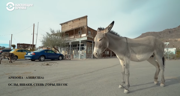 https://upforme.ru/uploads/0012/d6/0d/903/t342136.png