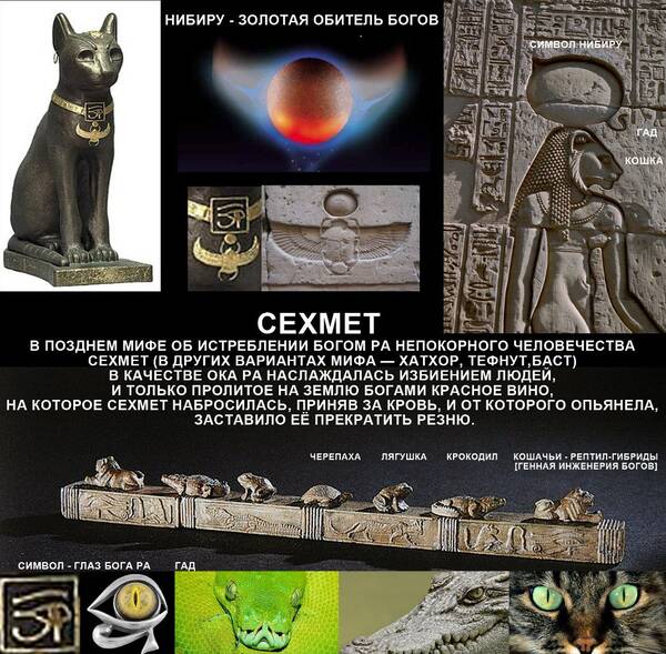 https://upforme.ru/uploads/0012/d6/0d/903/t56561.jpg