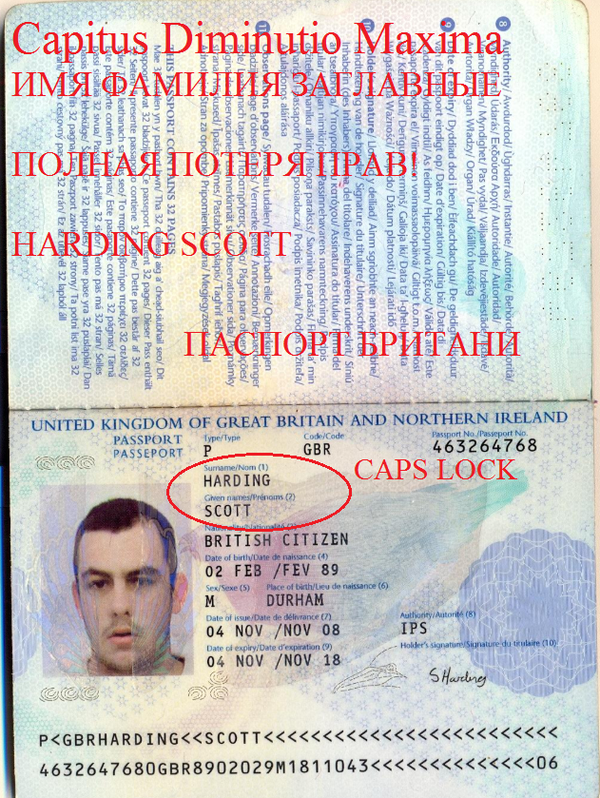 https://upforme.ru/uploads/0012/d6/0d/903/t64081.png