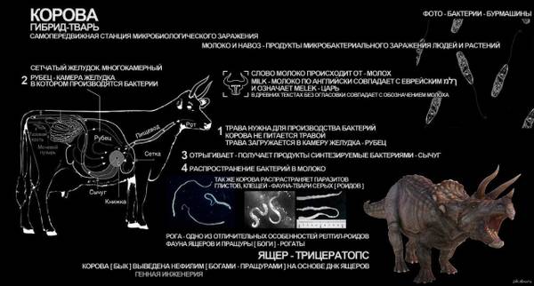 https://upforme.ru/uploads/0012/d6/0d/903/t659007.jpg