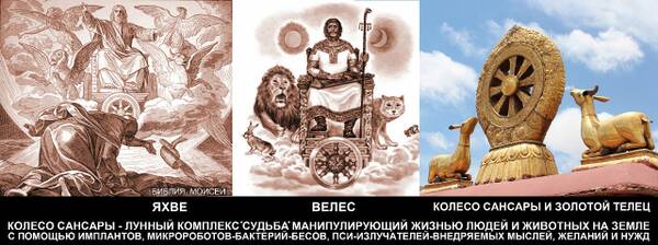 https://upforme.ru/uploads/0012/d6/0d/903/t887803.jpg