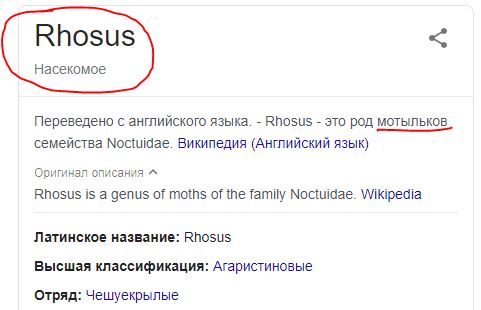 https://upforme.ru/uploads/0012/d6/0d/947/410742.jpg
