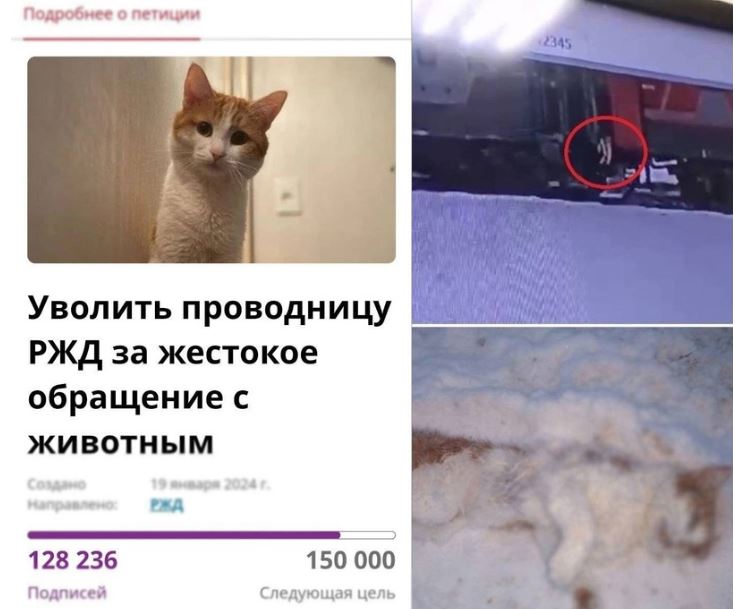 https://upforme.ru/uploads/0012/d6/0d/947/824395.jpg