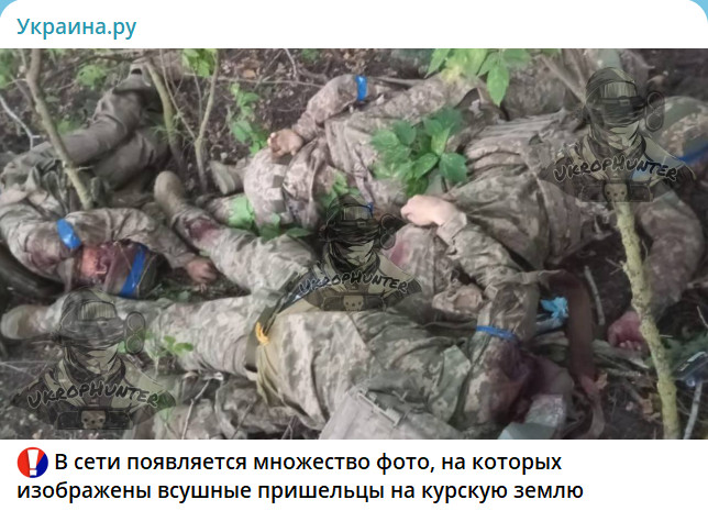 https://upforme.ru/uploads/0012/fa/8d/2/481600.jpg