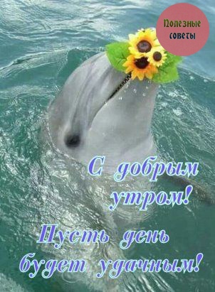 https://upforme.ru/uploads/0012/fa/8d/58/224787.jpg