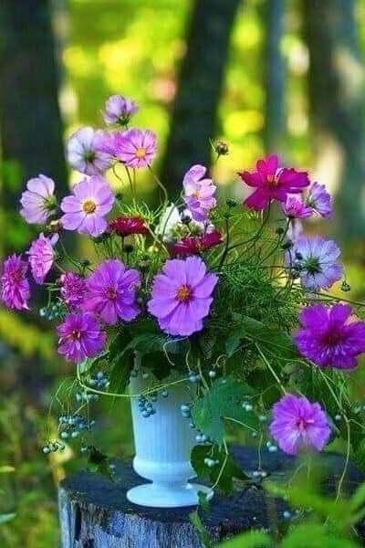 https://upforme.ru/uploads/0013/09/b3/55/t31709.jpg
