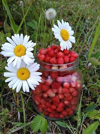 https://upforme.ru/uploads/0013/09/b3/55/t546249.jpg