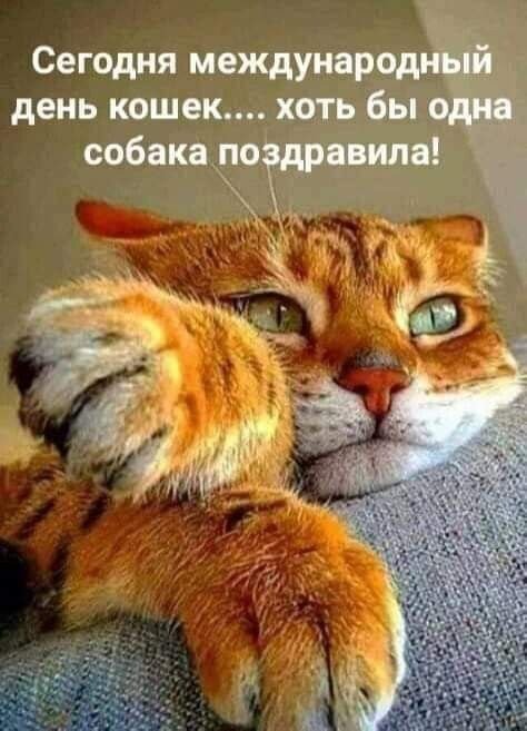 https://upforme.ru/uploads/0013/09/b3/55/t737605.jpg