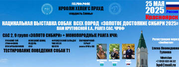 https://upforme.ru/uploads/0013/1b/57/111/t131628.jpg