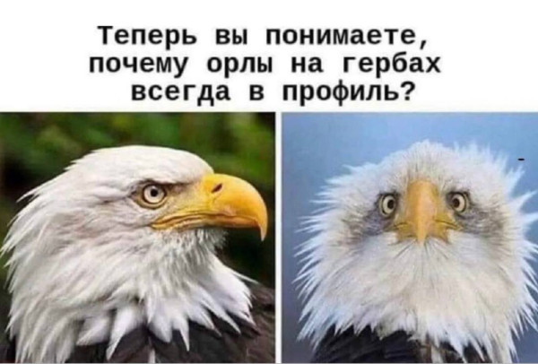https://upforme.ru/uploads/0013/1f/fe/105/t121961.jpg
