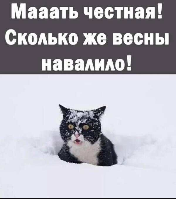 https://upforme.ru/uploads/0013/1f/fe/105/t161660.jpg