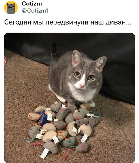 https://upforme.ru/uploads/0013/1f/fe/105/t18723.jpg
