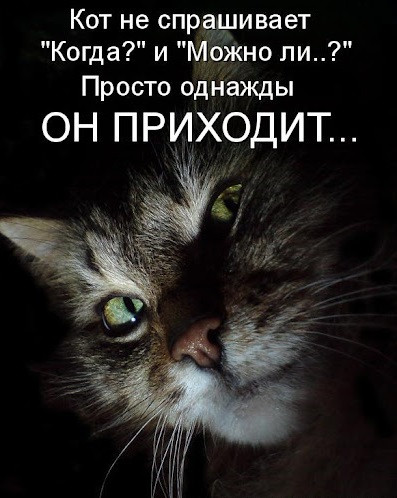 https://upforme.ru/uploads/0013/1f/fe/105/t188519.jpg