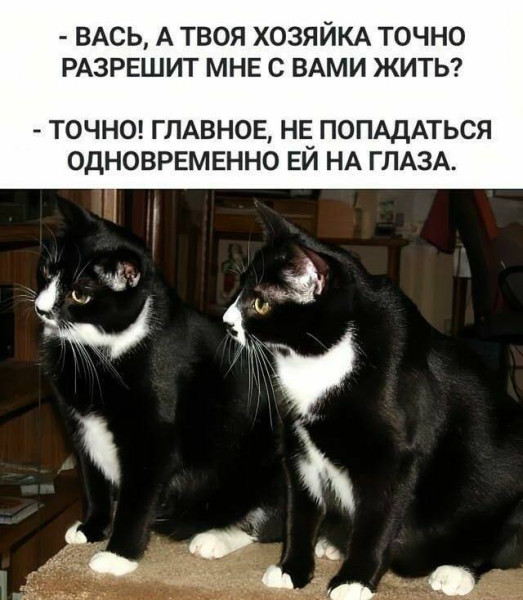 https://upforme.ru/uploads/0013/1f/fe/105/t204294.jpg