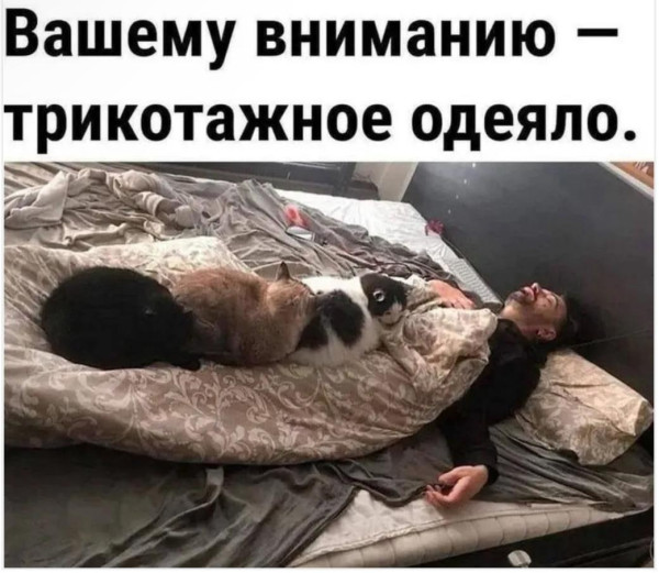 https://upforme.ru/uploads/0013/1f/fe/105/t20594.jpg