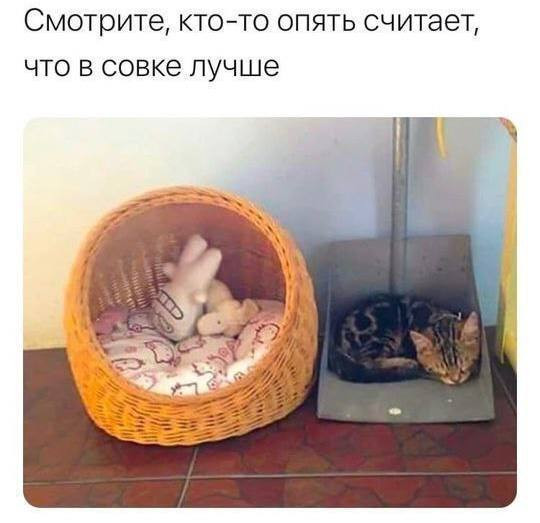 https://upforme.ru/uploads/0013/1f/fe/105/t246569.jpg