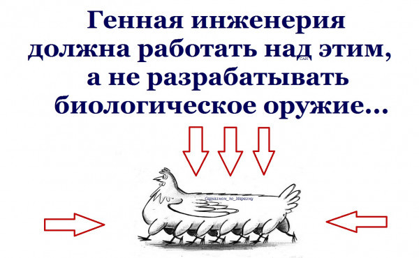 https://upforme.ru/uploads/0013/1f/fe/105/t255793.jpg