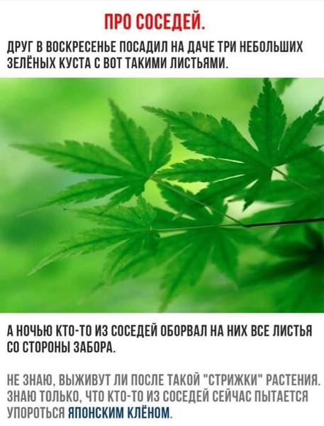 https://upforme.ru/uploads/0013/1f/fe/105/t272851.jpg