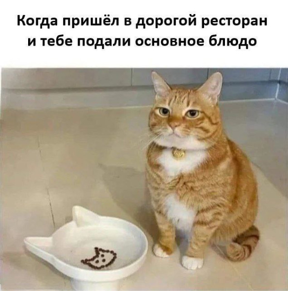 https://upforme.ru/uploads/0013/1f/fe/105/t285378.jpg