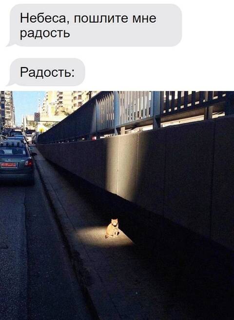https://upforme.ru/uploads/0013/1f/fe/105/t298651.jpg