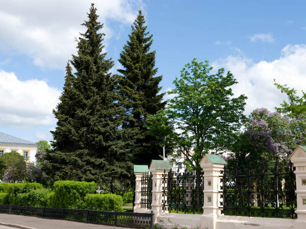 https://upforme.ru/uploads/0013/1f/fe/105/t307029.jpg