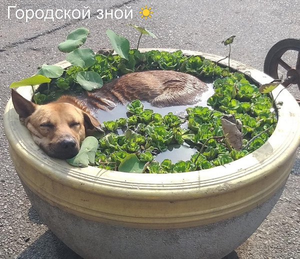 https://upforme.ru/uploads/0013/1f/fe/105/t340721.jpg