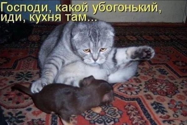 https://upforme.ru/uploads/0013/1f/fe/105/t351748.jpg