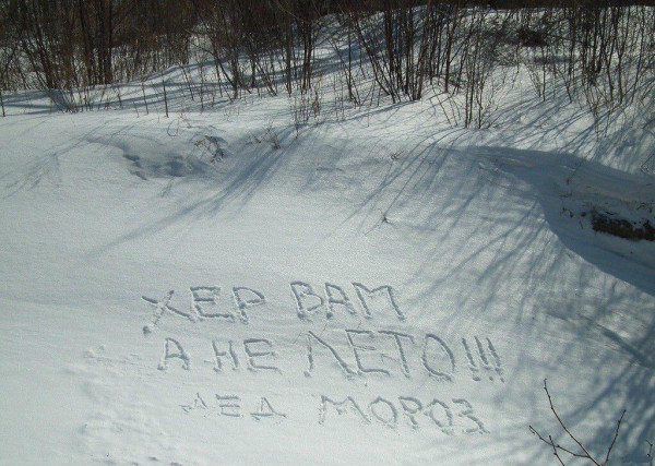 https://upforme.ru/uploads/0013/1f/fe/105/t367180.jpg