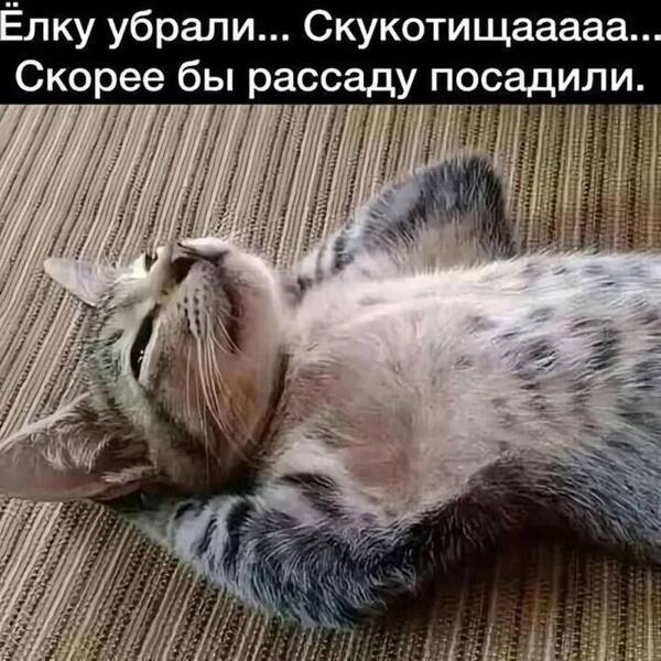 https://upforme.ru/uploads/0013/1f/fe/105/t381708.jpg