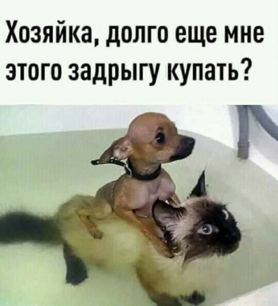 https://upforme.ru/uploads/0013/1f/fe/105/t428513.jpg