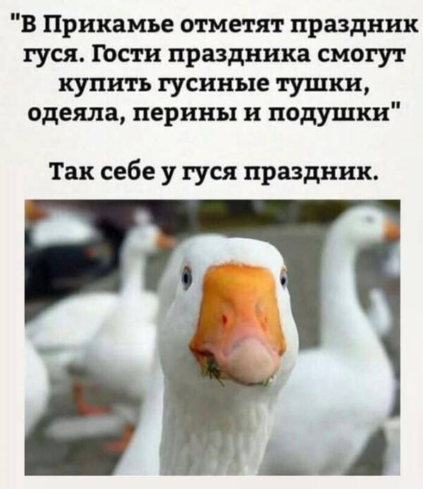 https://upforme.ru/uploads/0013/1f/fe/105/t430500.jpg