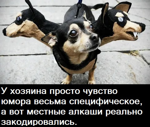 https://upforme.ru/uploads/0013/1f/fe/105/t445259.jpg