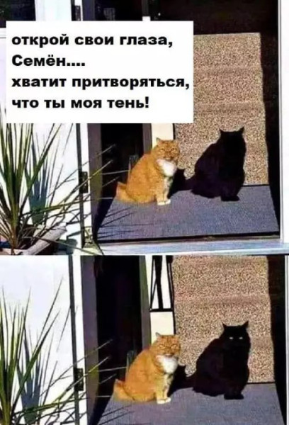 https://upforme.ru/uploads/0013/1f/fe/105/t454975.jpg