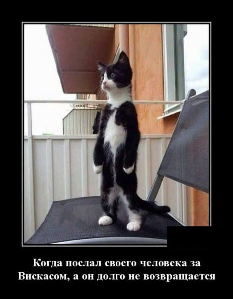 https://upforme.ru/uploads/0013/1f/fe/105/t465451.jpg