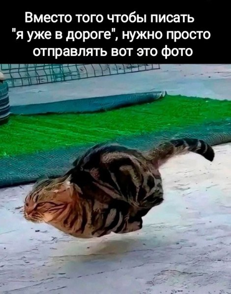 https://upforme.ru/uploads/0013/1f/fe/105/t504082.jpg