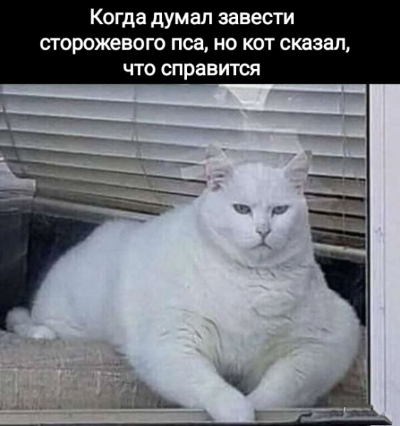 https://upforme.ru/uploads/0013/1f/fe/105/t564522.jpg