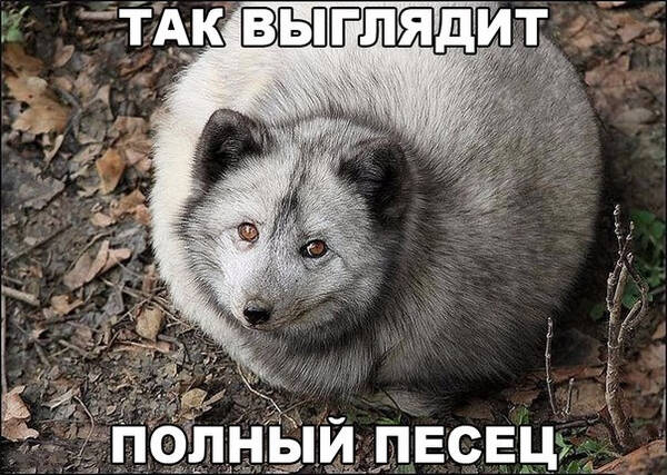 https://upforme.ru/uploads/0013/1f/fe/105/t739690.jpg
