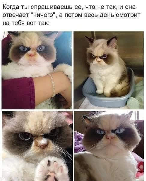 https://upforme.ru/uploads/0013/1f/fe/105/t743505.png