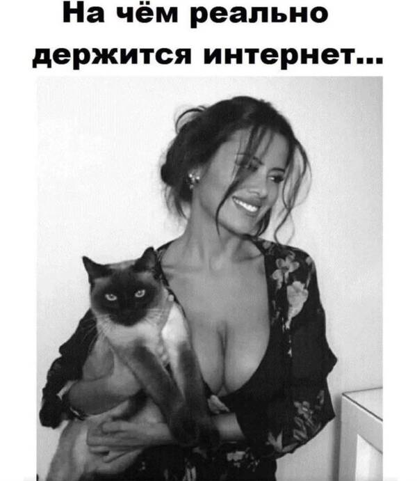 https://upforme.ru/uploads/0013/1f/fe/105/t785663.jpg