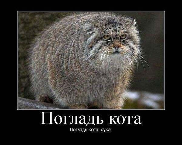 https://upforme.ru/uploads/0013/1f/fe/105/t809170.jpg