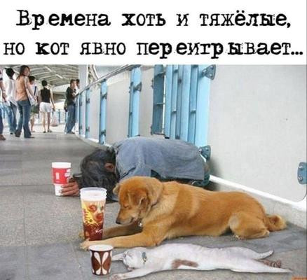https://upforme.ru/uploads/0013/1f/fe/105/t833297.jpg