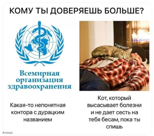 https://upforme.ru/uploads/0013/1f/fe/105/t853722.jpg
