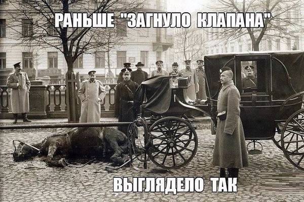https://upforme.ru/uploads/0013/1f/fe/105/t85852.jpg