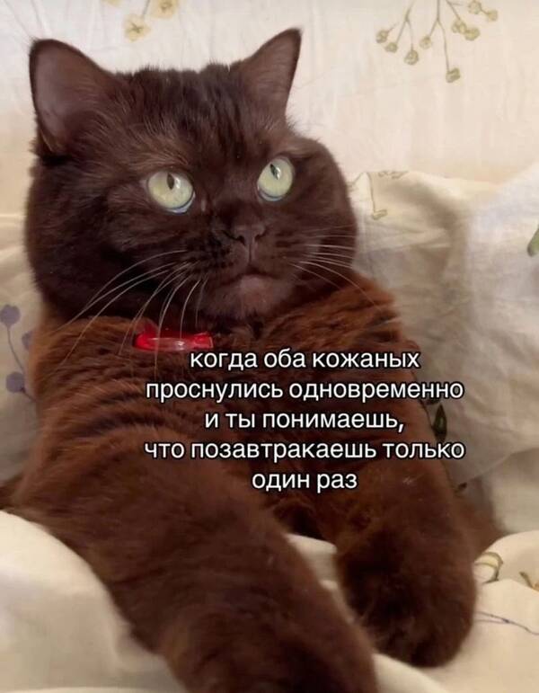 https://upforme.ru/uploads/0013/1f/fe/105/t87564.jpg