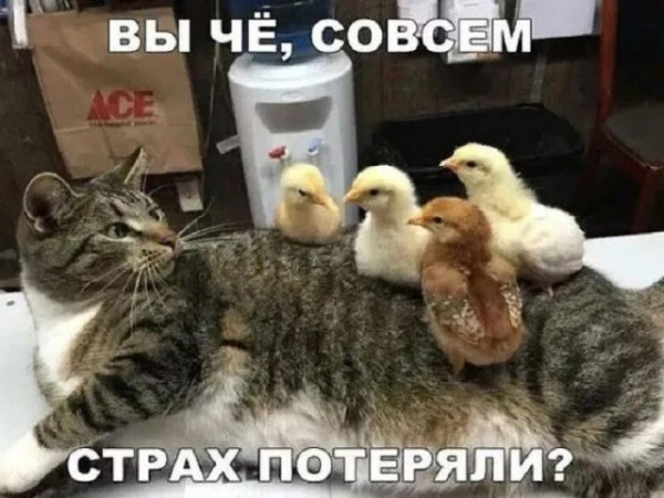 https://upforme.ru/uploads/0013/1f/fe/105/t884668.jpg