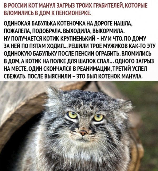 https://upforme.ru/uploads/0013/1f/fe/105/t886614.jpg