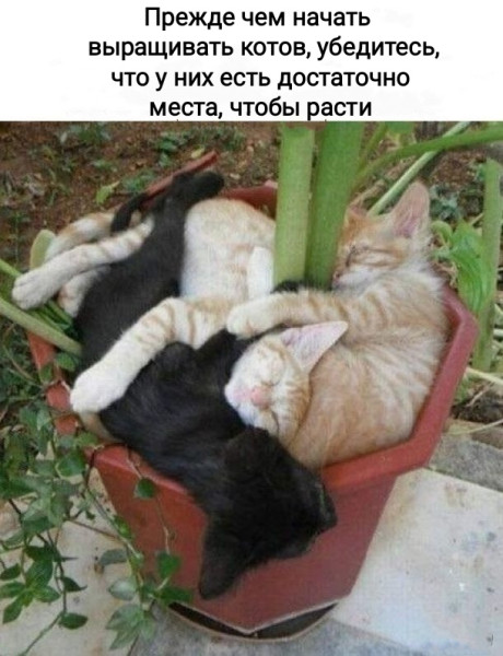 https://upforme.ru/uploads/0013/1f/fe/105/t935768.jpg