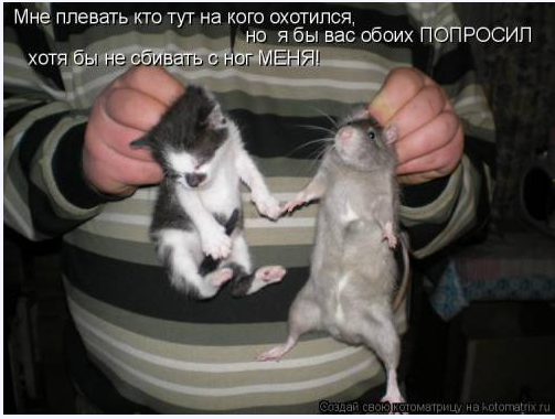 https://upforme.ru/uploads/0013/1f/fe/114/190618.png