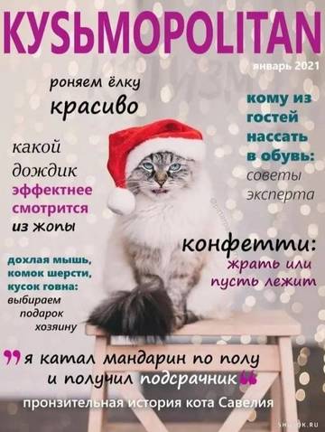 https://upforme.ru/uploads/0013/1f/fe/121/t100547.jpg